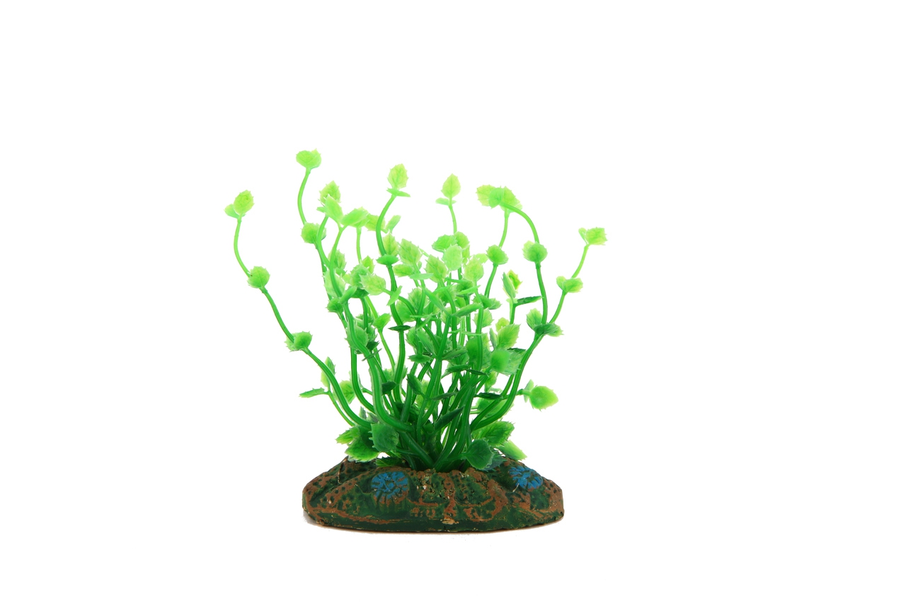 Kunststoffpflanze für dein Aquarium kaufen