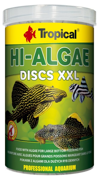 HI-ALGAE DISCS XXL - Tropical - Aquaristik-Deals