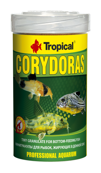 Corydoras - Tropical - Aquaristik-Deals