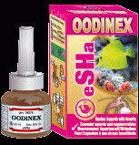 OODINEX Breitbandmittel für Meeresfische - 20ml